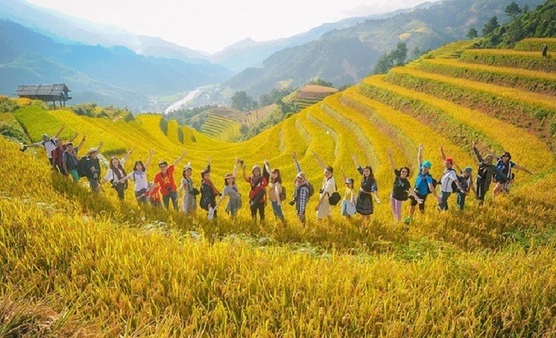 Tháng 9 đi đâu để ngắm lúa chín? Top 7 địa điểm đẹp như tranh 4 Tháng 9 đi đâu để ngắm lúa chín