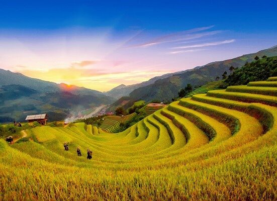 Tháng 9 đi đâu để ngắm lúa chín