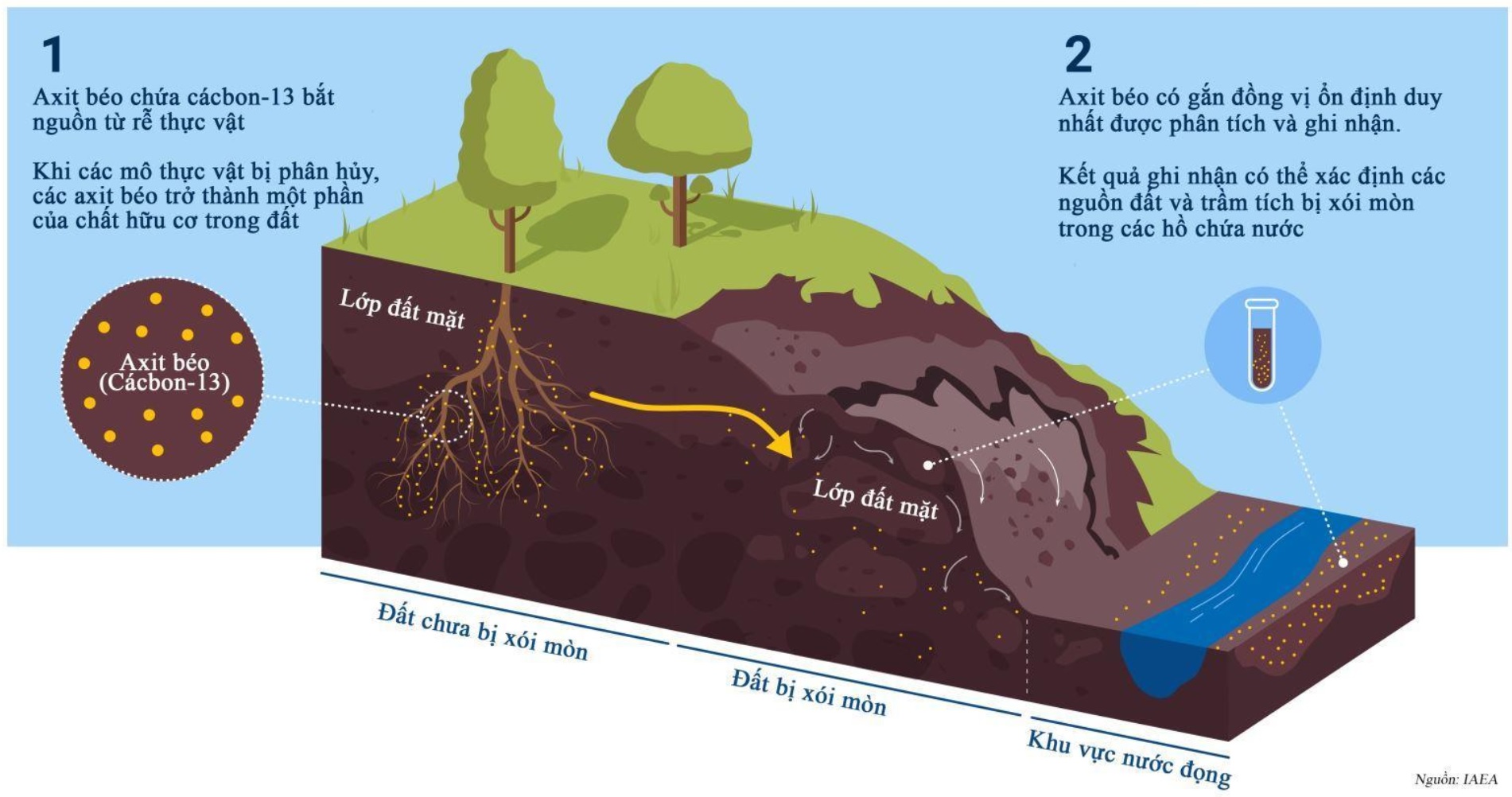 Xói mòn đất là gì? Nguyên nhân và cách phòng tránh 3 cach phong chong xoi mon dat