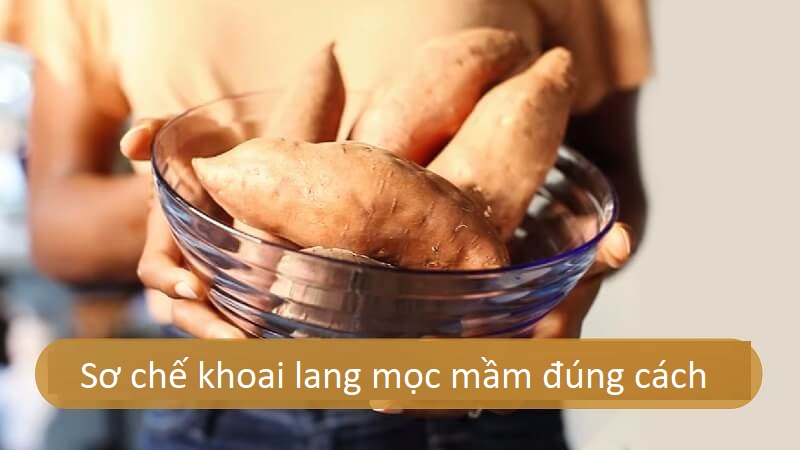 Sơ chế khoai lang mọc mầm