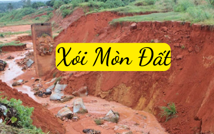 Xói mòn đất là gì? Nguyên nhân và cách phòng tránh 1 xói mòn đất là gì
