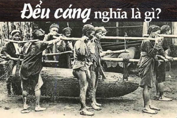 Đểu cáng là gì? Tìm hiểu ý nghĩa của từ đểu cáng và cửu vạn 1 đểu cáng là gì